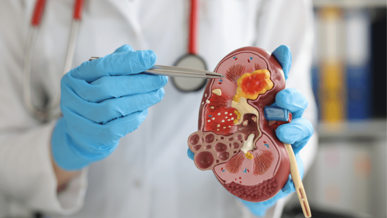 urologia