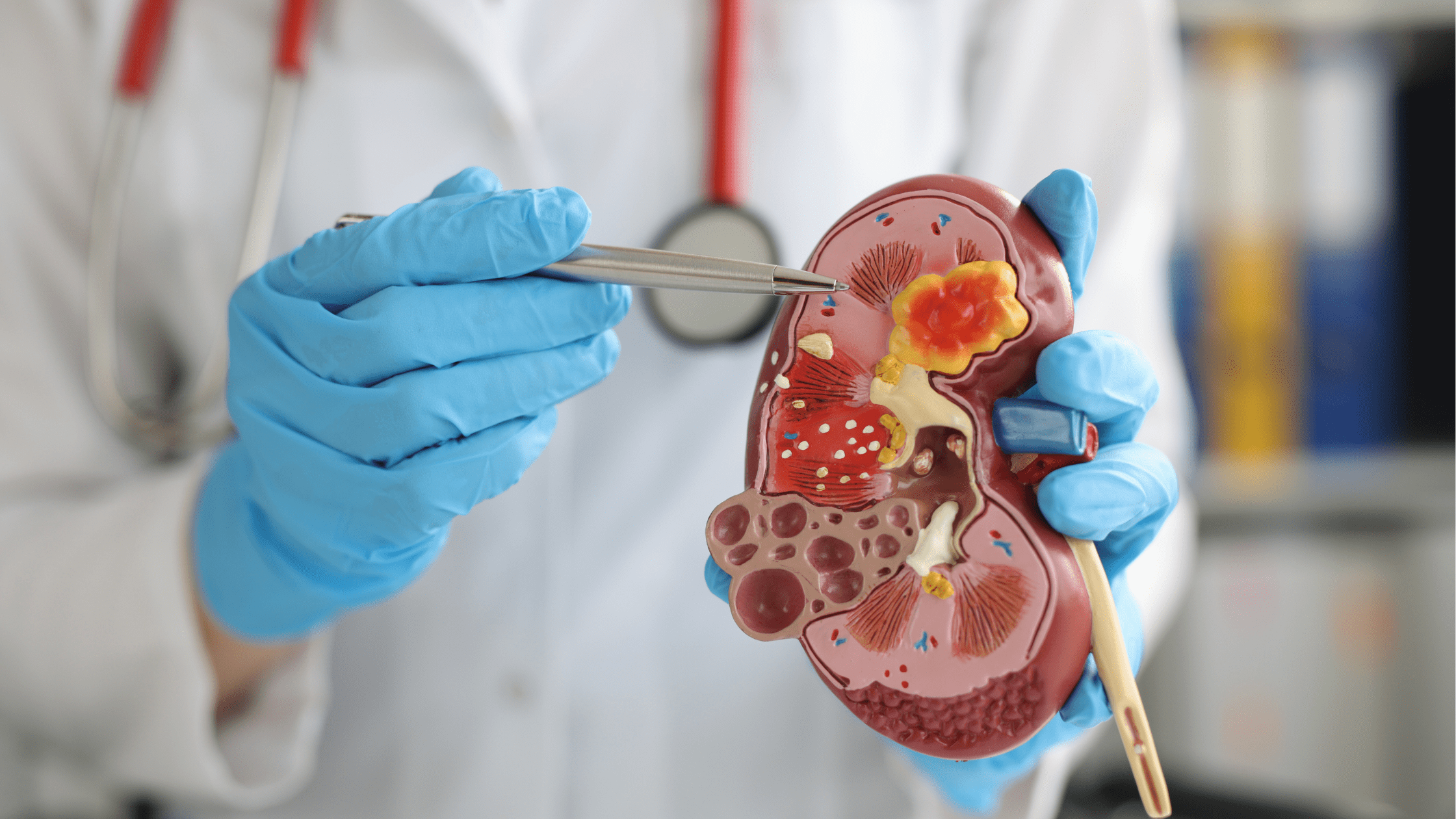 urologia